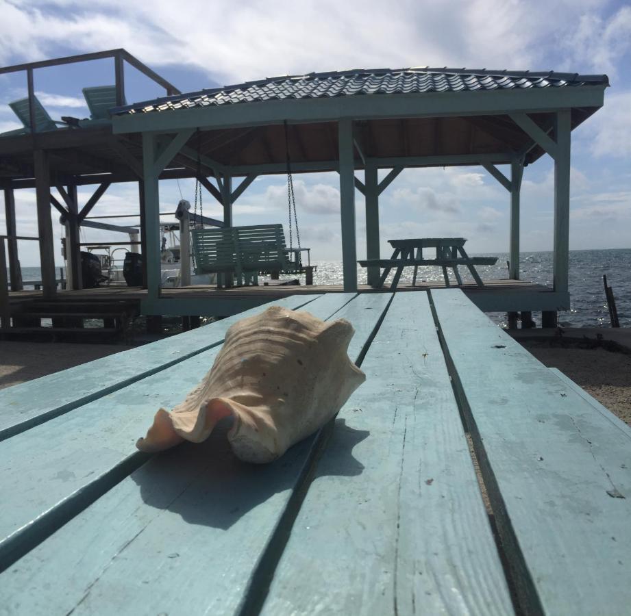 Pura Vida Inn Caye Caulker Dış mekan fotoğraf